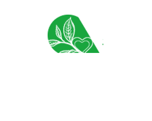 西安上门丝足